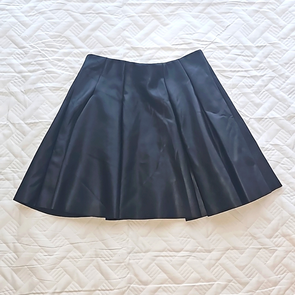 Pleated Skirt